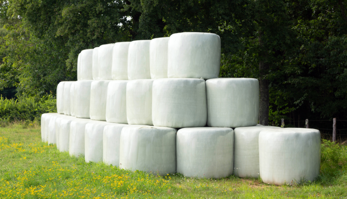 Silage-Bales